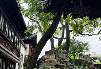 豫园第 175 张图片