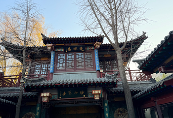 趵突泉景区第 140 张图片