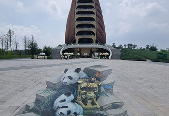 成都大熊猫繁育研究基地第 299 张图片