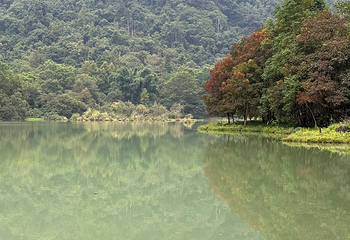 荔波小七孔景区第 224 张图片