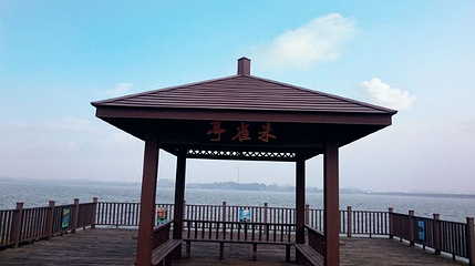 湖北沙洋潘集湖国家湿地公园第 1 张图片