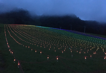 白山一里野温泉滑雪场第 11 张图片