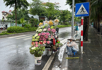 河内西湖第 24 张图片