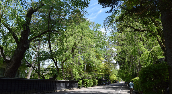 Samurai District