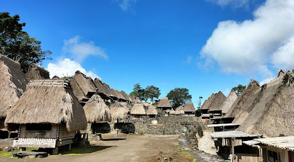 Bena Traditional Village (Thatched Roof Village)