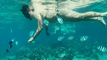 Dolphin Watching Lovina