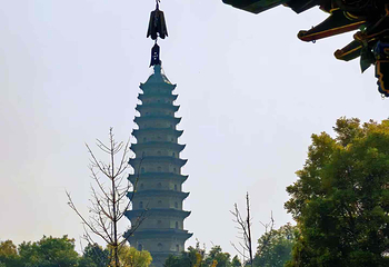 双塔公园第 20 张图片