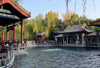 趵突泉景区第 165 张图片