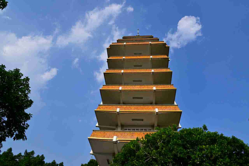 鹅岭公园第 20 张图片