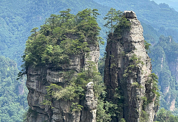 张家界国家森林公园第 226 张图片