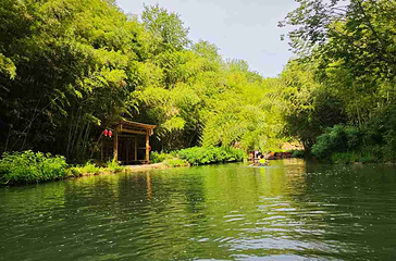 鲸鱼沟竹海风景区第 21 张图片