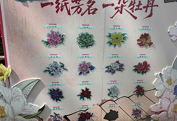 丹景山第 31 张图片