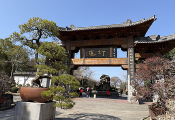 根宫佛国文化旅游区第 22 张图片