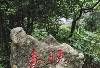 徐州云龙湖风景区第 17 张图片