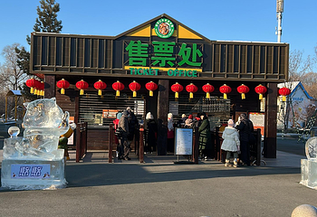 东北虎林园第 137 张图片