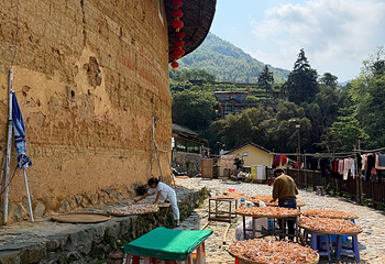田螺坑土楼群第 51 张图片