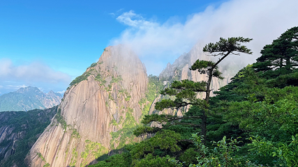 黄山风景区第 62 张图片