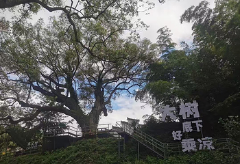 芹川古村第 75 张图片
