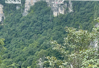 张家界大峡谷第 137 张图片