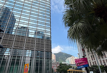 太平山顶第 139 张图片
