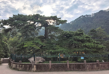 九华山风景区第 211 张图片