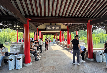瘦西湖第 304 张图片