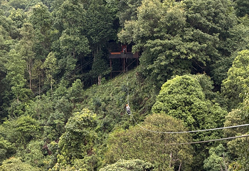 Skyline Adventure 清迈丛林飞跃第 55 张图片