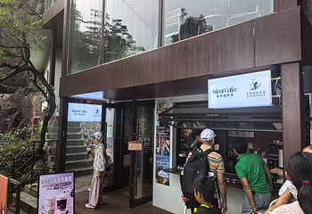 莽山五指峰景区第 144 张图片