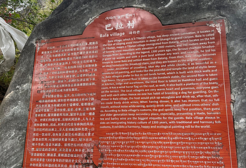 香格里拉巴拉格宗风景名胜区第 220 张图片