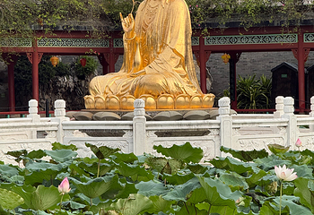 宝墨园第 217 张图片