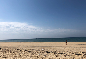科德角国家海岸第 15 张图片
