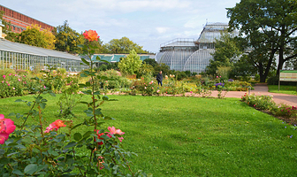圣彼得堡植物园