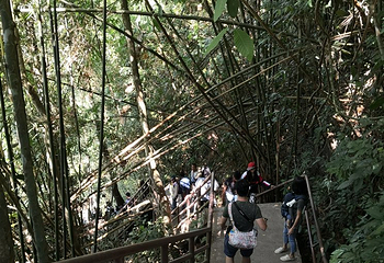 Haew Narok 瀑布第 17 张图片
