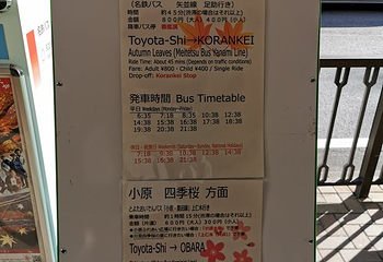 川见四季樱之乡第 10 张图片