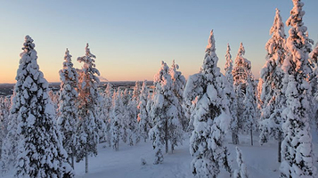 Ounasvaara Winter Trail