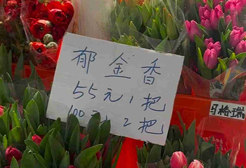 昆明斗南花卉市场第 20 张图片