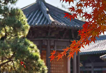 广富林文化遗址第 64 张图片