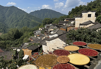 婺源篁岭景区第 87 张图片