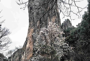 缙云仙都景区第 80 张图片