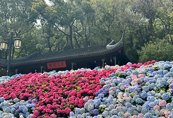 苏州上方山国家森林公园第 51 张图片