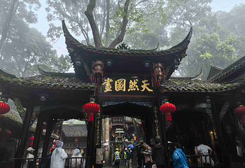 青城山第 318 张图片