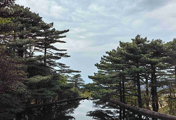 黄山风景区第 322 张图片