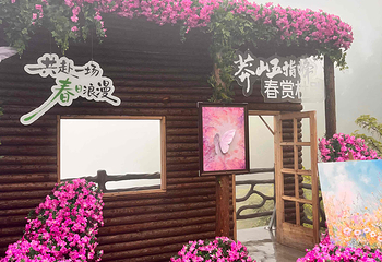 莽山五指峰景区第 100 张图片