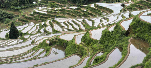 云和梯田景区第 83 张图片