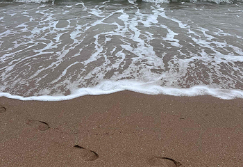 天涯海角第 339 张图片