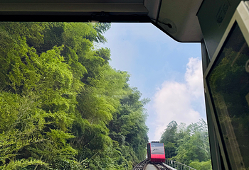天目湖南山竹海第 143 张图片