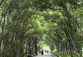钟山风景名胜区第 193 张图片