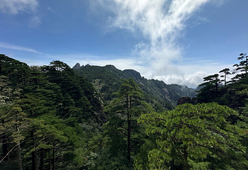 黄山风景区第 175 张图片