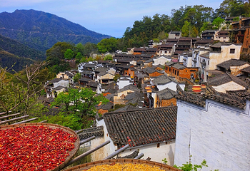 婺源篁岭景区第 153 张图片