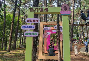 茅山森林世界第 151 张图片